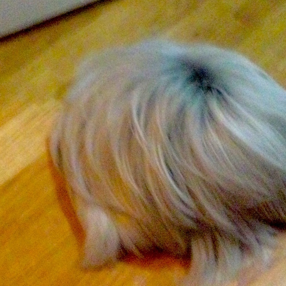 Descendants Carlos men’s wig